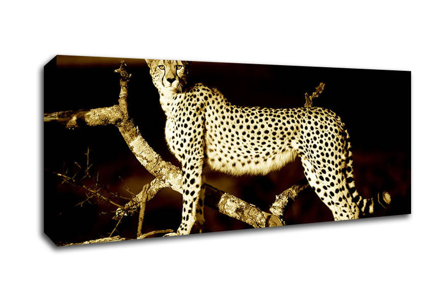 Picture of Leopard Perch Sepia Panoramic Canvas Wall Art