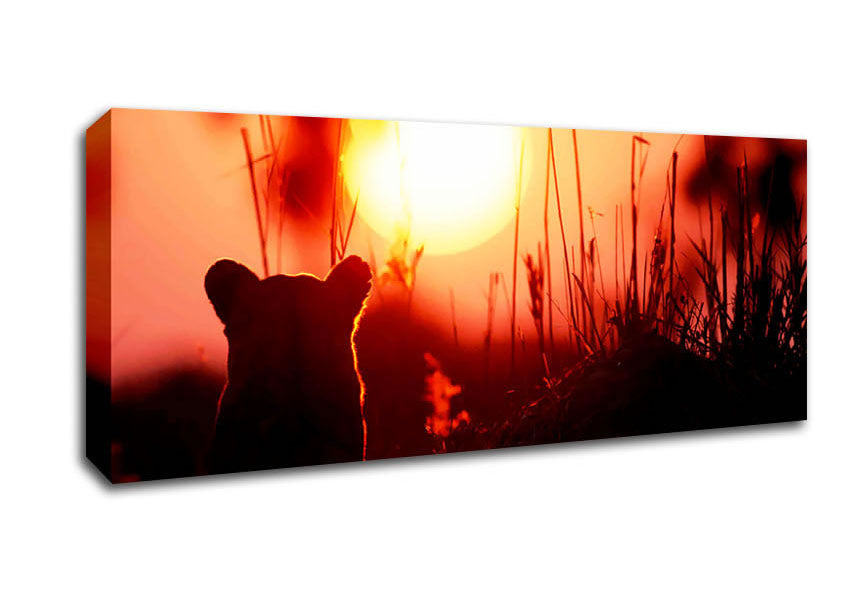 Picture of Lion Cub Watching The Sun Go Down Panoramic Canvas Wall Art