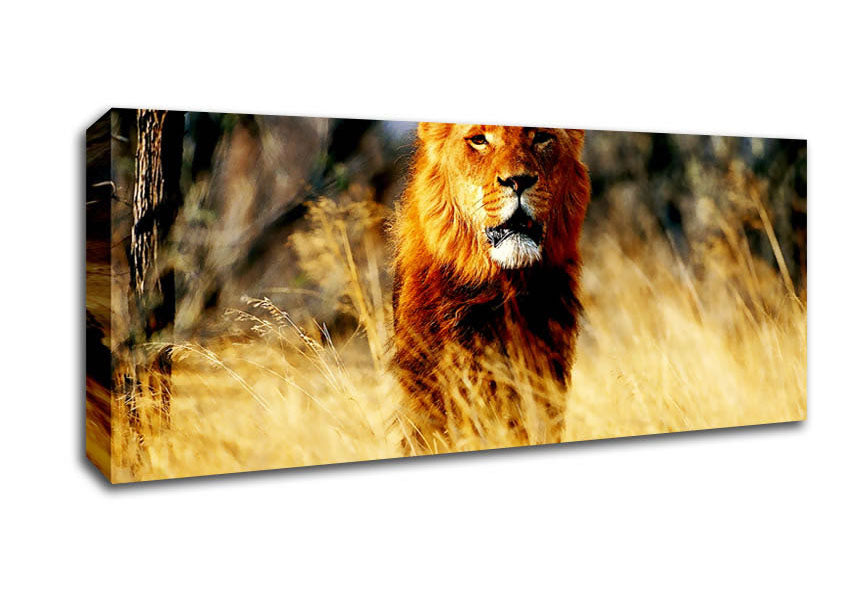 Picture of Lion Jungle Panoramic Canvas Wall Art