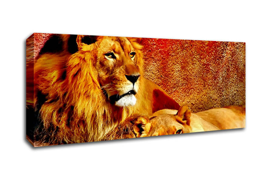 Picture of Lion Love Panoramic Canvas Wall Art