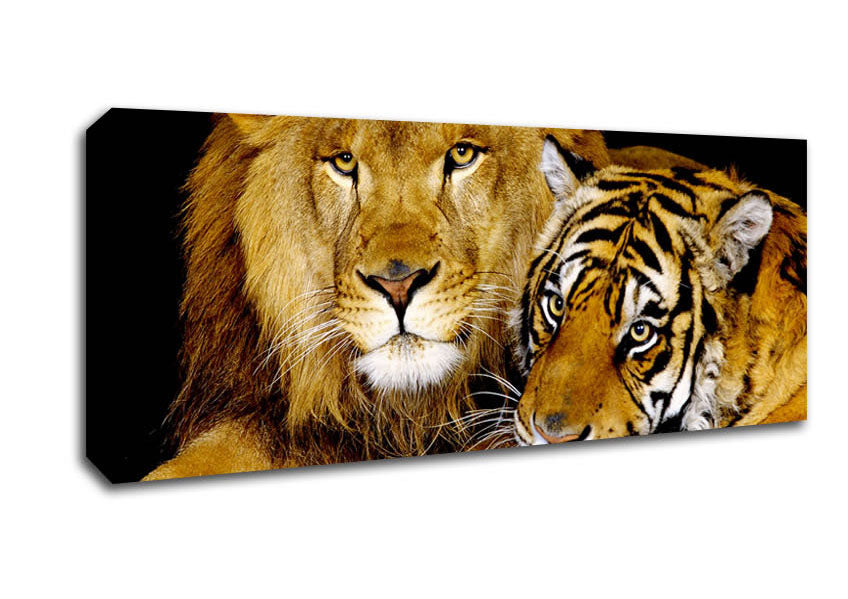 Picture of Lion Tiger Love Panoramic Canvas Wall Art