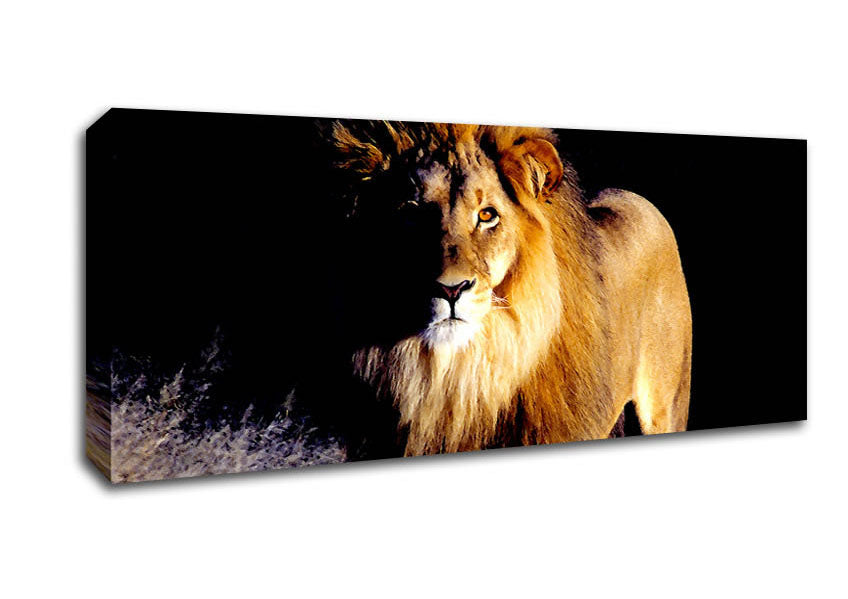 Picture of Lion Watch Panoramic Canvas Wall Art