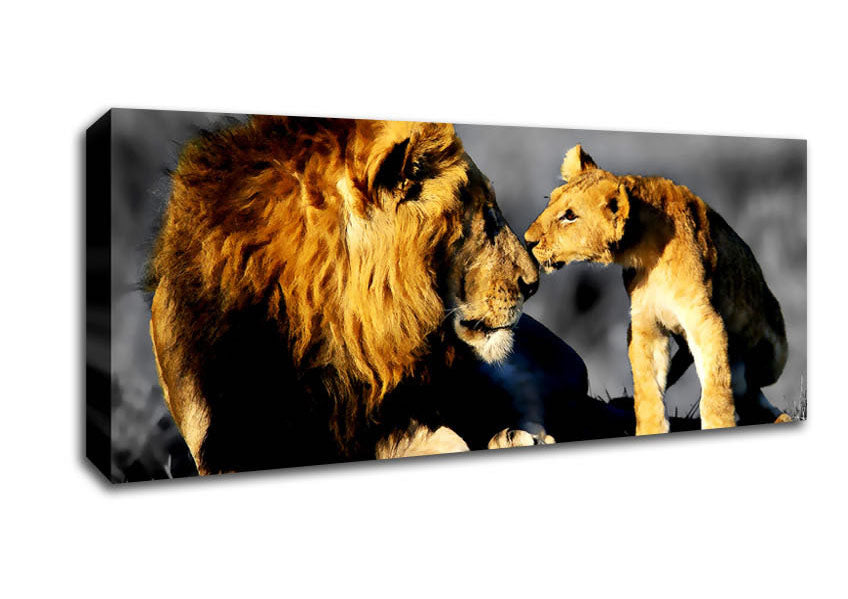 Picture of Lions Family Pride Panoramic Canvas Wall Art