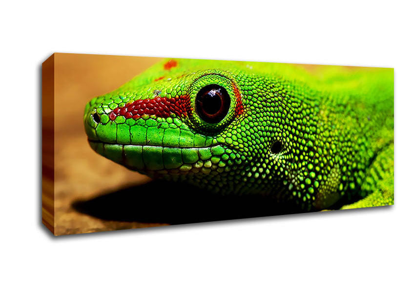 Picture of Lizard Face Panoramic Canvas Wall Art