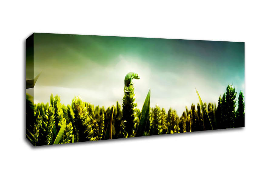 Picture of Lizard Perch Panoramic Canvas Wall Art