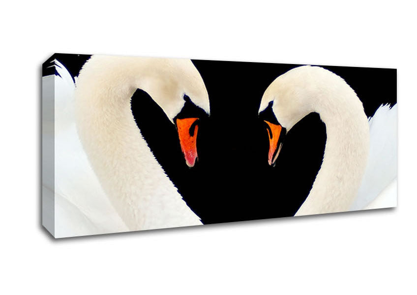 Picture of Love Heart Swans Panoramic Canvas Wall Art