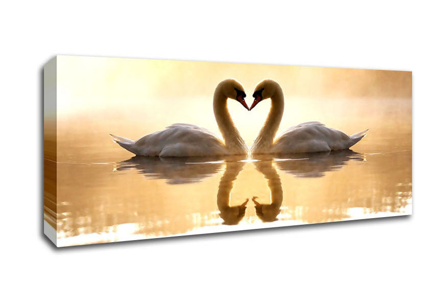 Picture of Loving Swans Panoramic Canvas Wall Art