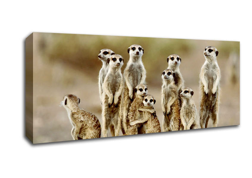 Picture of Meerkat Family Panoramic Canvas Wall Art