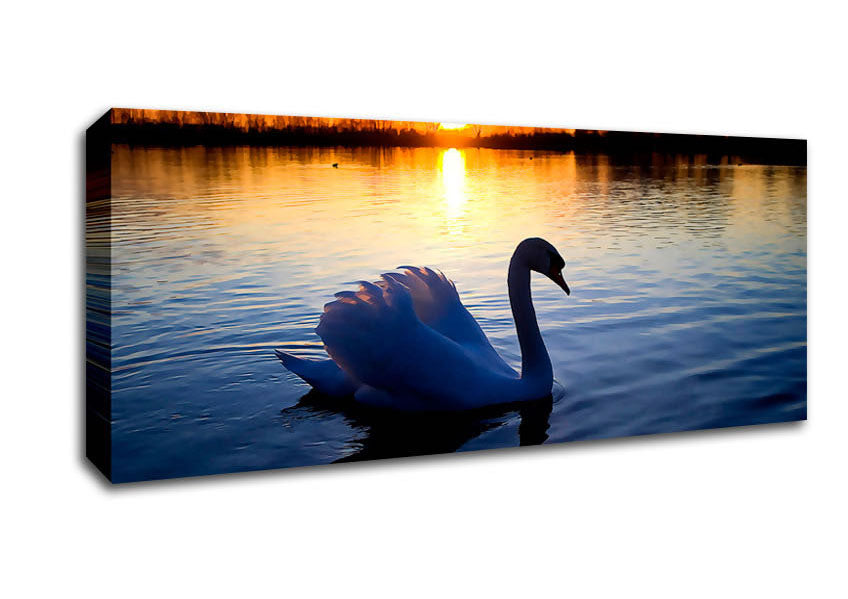 Picture of Lonely Swan Panoramic Canvas Wall Art