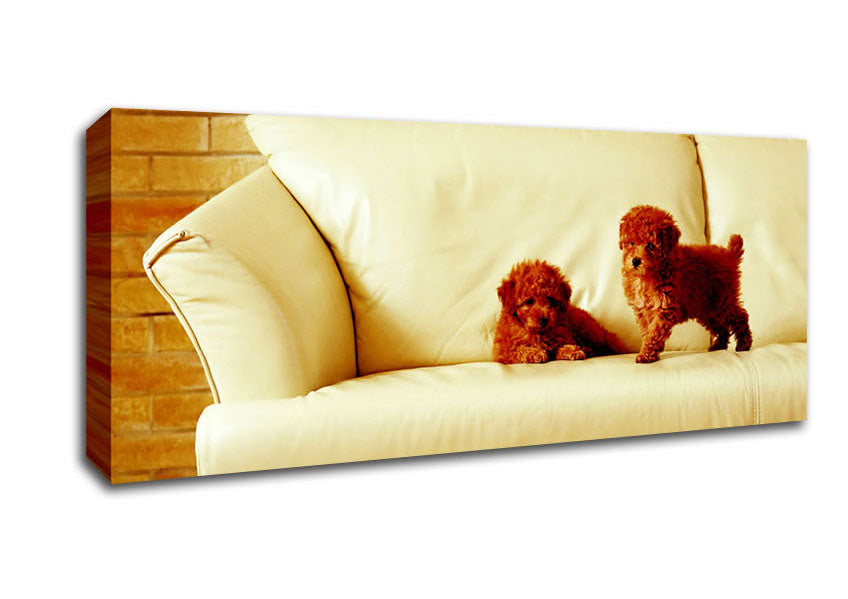 Picture of Naughty Puppy Fun Panoramic Canvas Wall Art