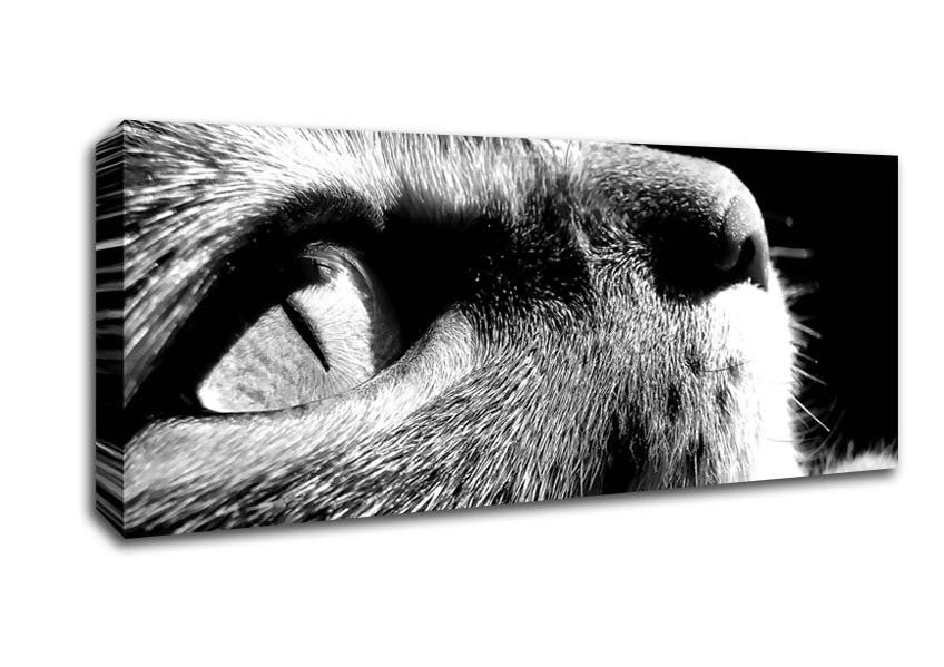 Picture of Nostalgic Cat Panoramic Canvas Wall Art