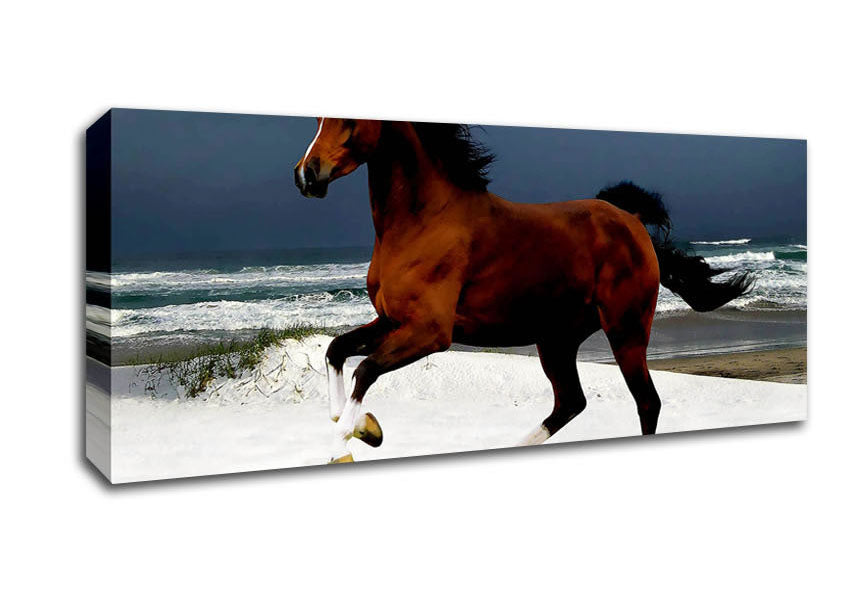 Picture of Ocean Horse Beauty Panoramic Canvas Wall Art