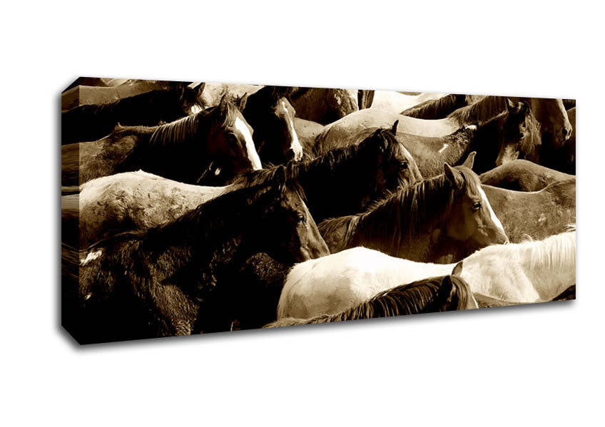 Picture of Ocean Of Horses Panoramic Canvas Wall Art