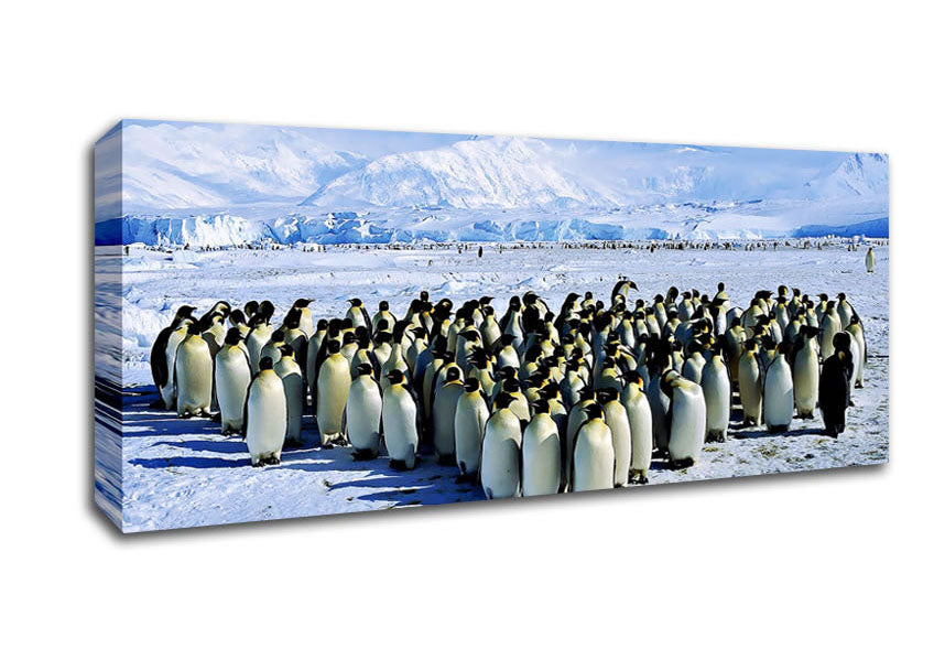 Picture of Penguin Cuddle Panoramic Canvas Wall Art