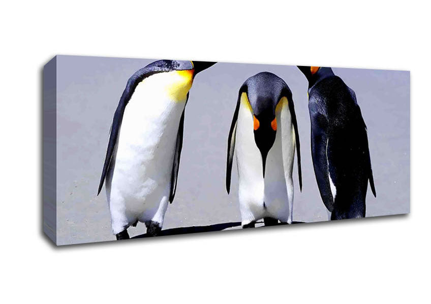 Picture of Penguin Shame Panoramic Canvas Wall Art