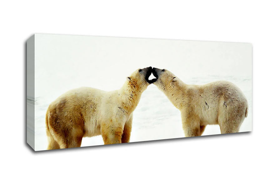 Picture of Polar Bear Love Panoramic Canvas Wall Art