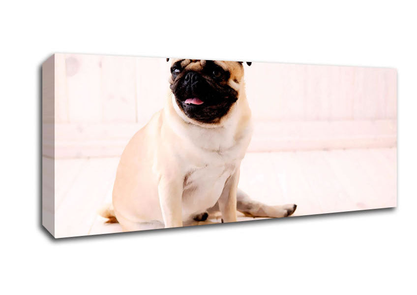 Picture of Pug Dog Panoramic Canvas Wall Art