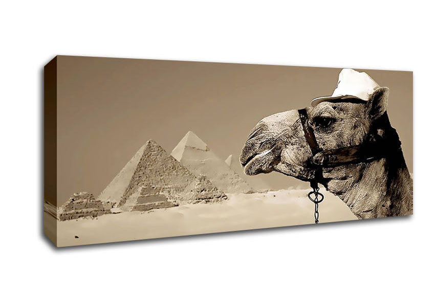 Picture of Pyramid Camel Panoramic Canvas Wall Art