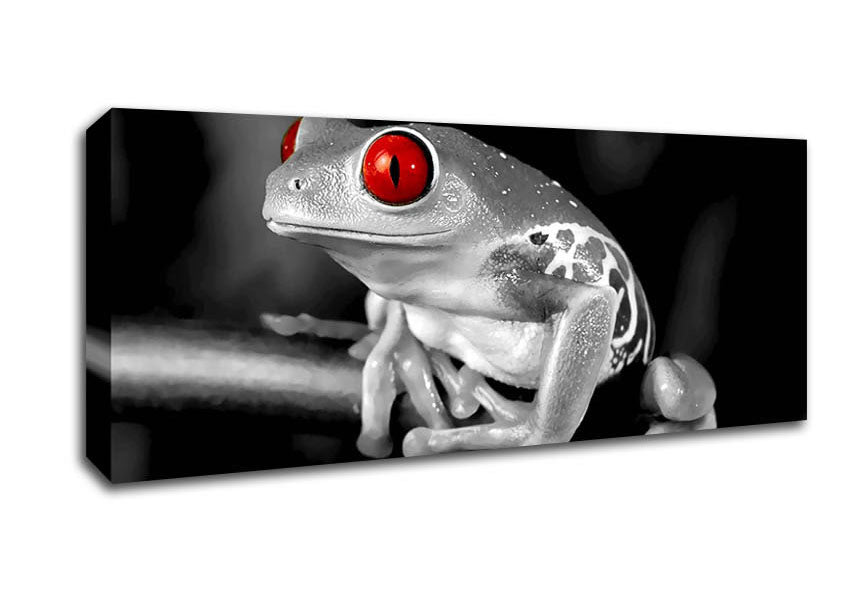 Picture of Red Eyed Frog Panoramic Canvas Wall Art