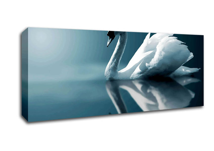 Picture of Reflections Of A Swan Panoramic Canvas Wall Art