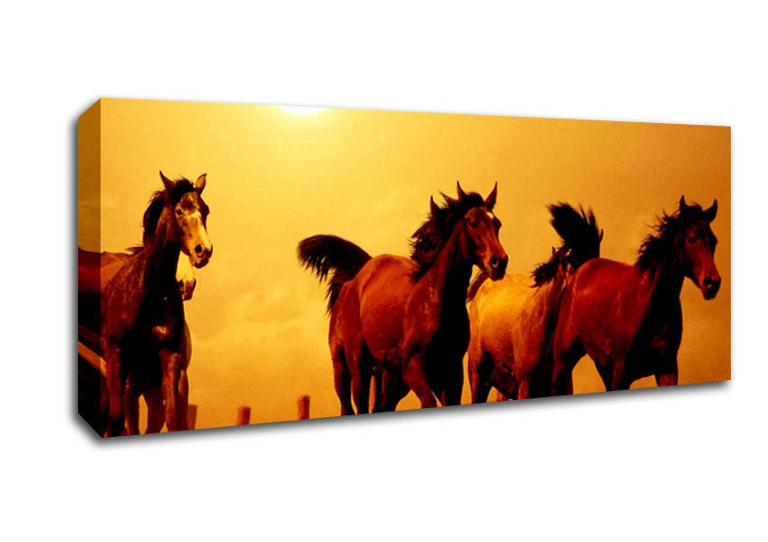 Picture of Running Horses At Sunset Panoramic Canvas Wall Art