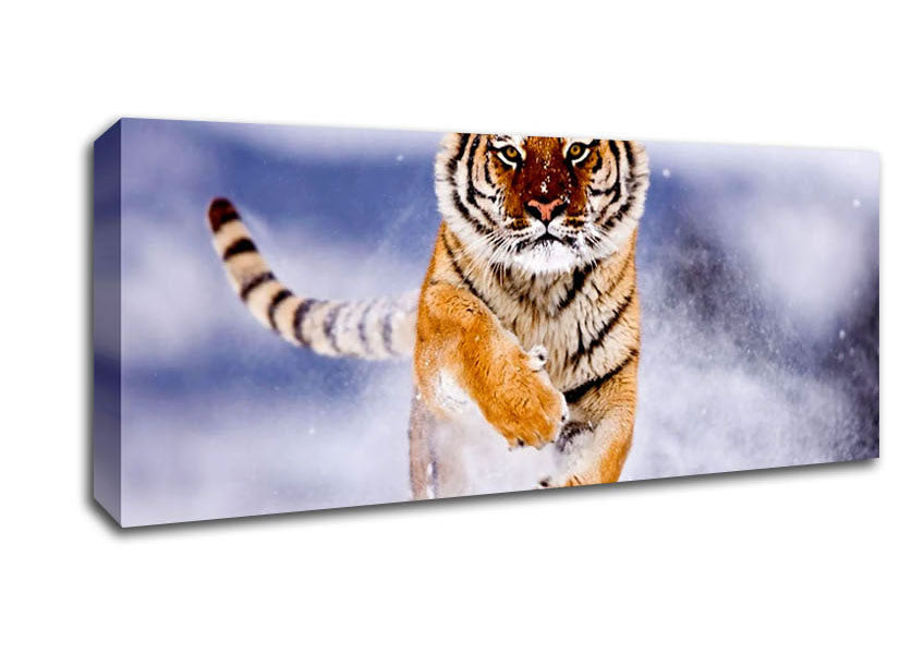 Picture of Running Snow Tiger Panoramic Canvas Wall Art