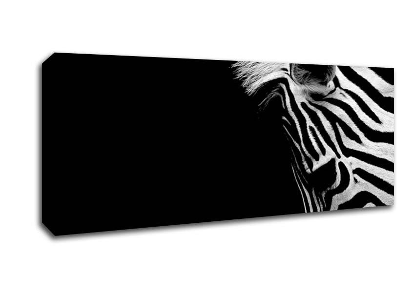 Picture of Sad Zebra Panoramic Canvas Wall Art