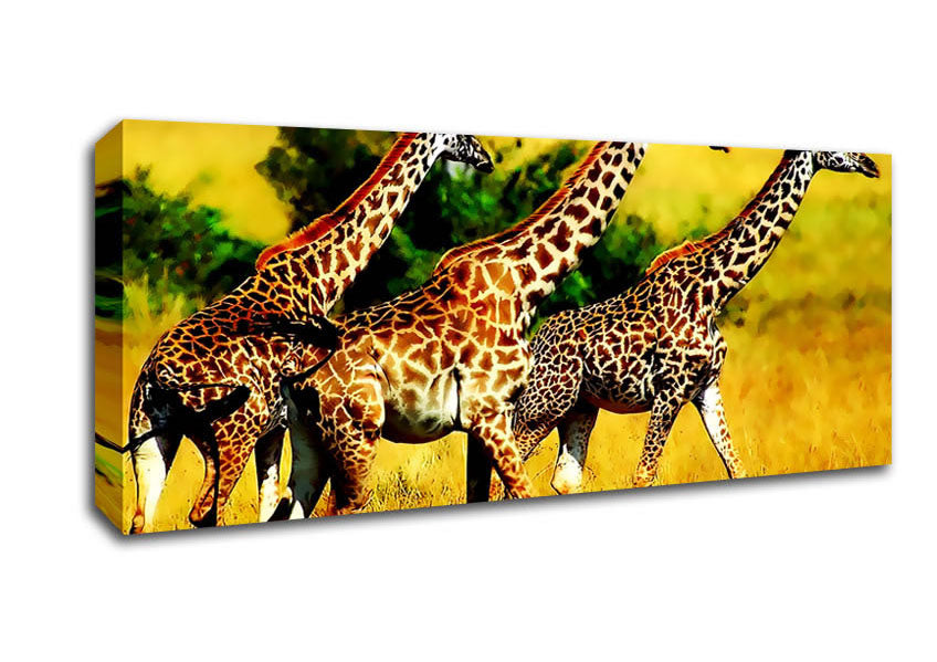 Picture of Safari Giraffe Panoramic Canvas Wall Art