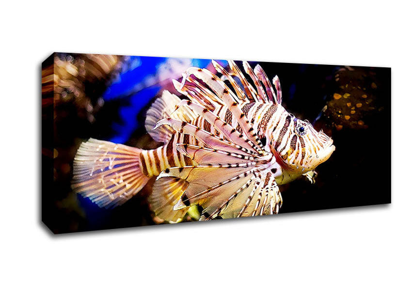 Picture of Sea Life Panoramic Canvas Wall Art