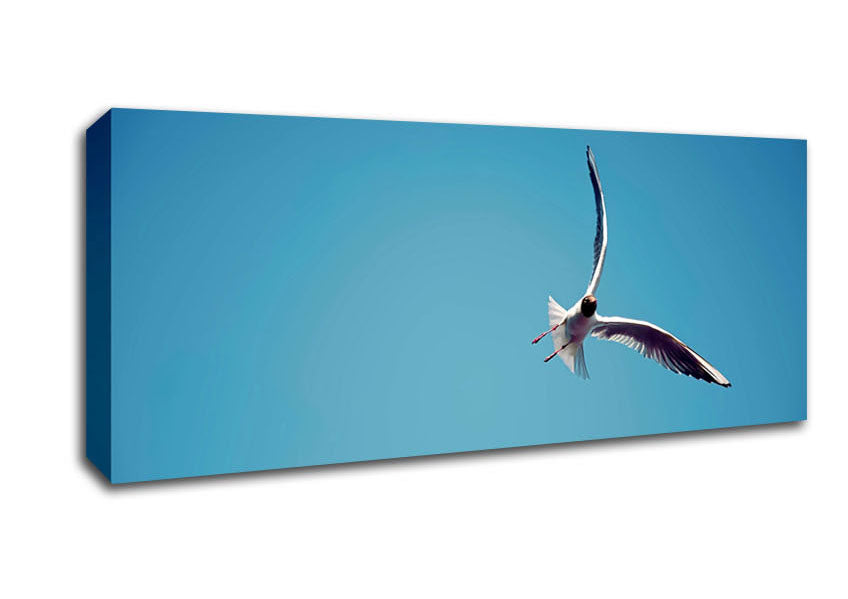 Picture of Seagull Flight Panoramic Canvas Wall Art