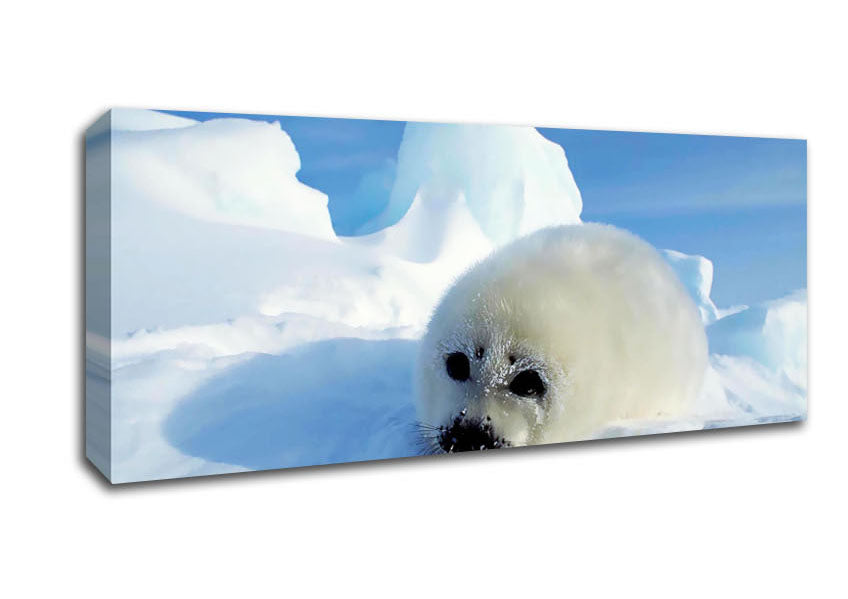 Picture of Seal Pup In The Snow Panoramic Canvas Wall Art