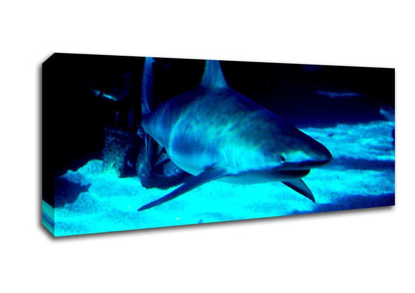 Picture of Shark Hunt Panoramic Canvas Wall Art