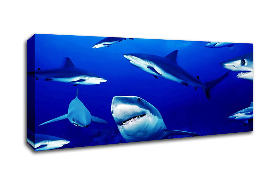 Picture of Sharks Ocean Panoramic Canvas Wall Art