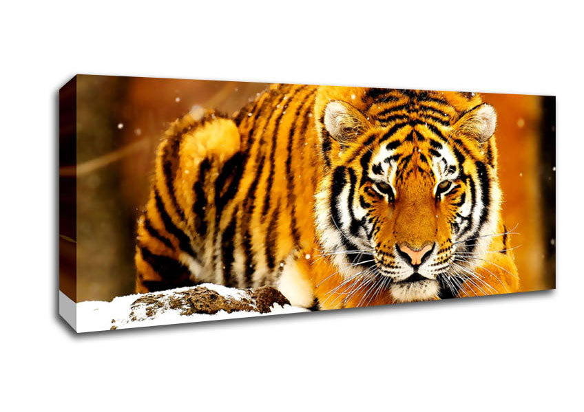 Picture of Siberian Snow Tiger Panoramic Canvas Wall Art