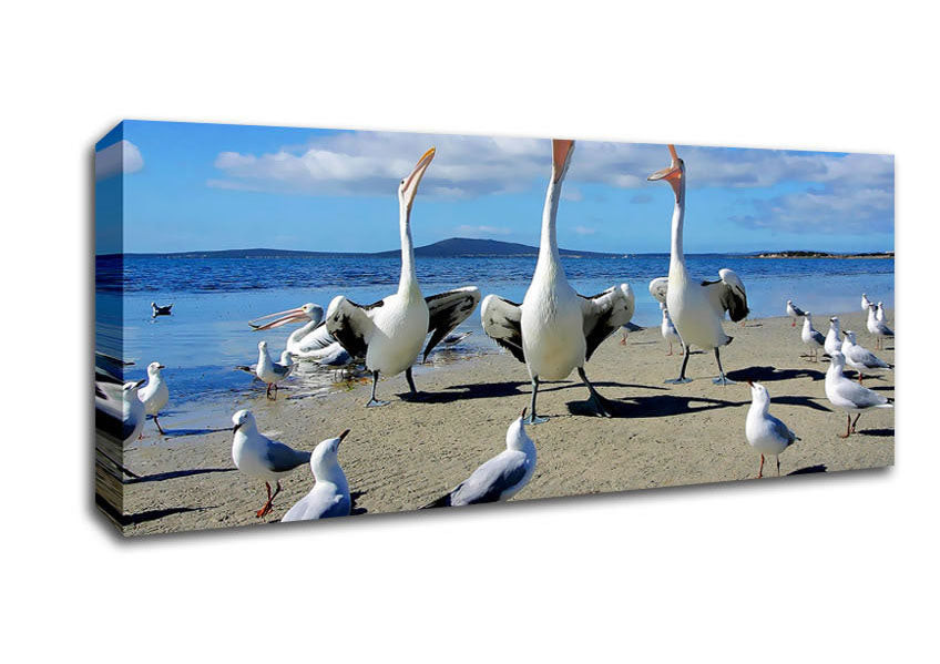 Picture of Singing Seagulls Panoramic Canvas Wall Art