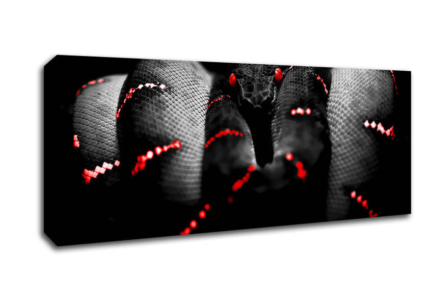 Picture of Snake Venom Panoramic Canvas Wall Art