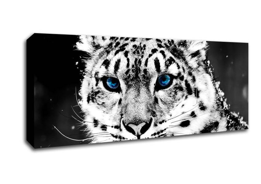 Picture of Snow Blue Eye Leopard Panoramic Canvas Wall Art