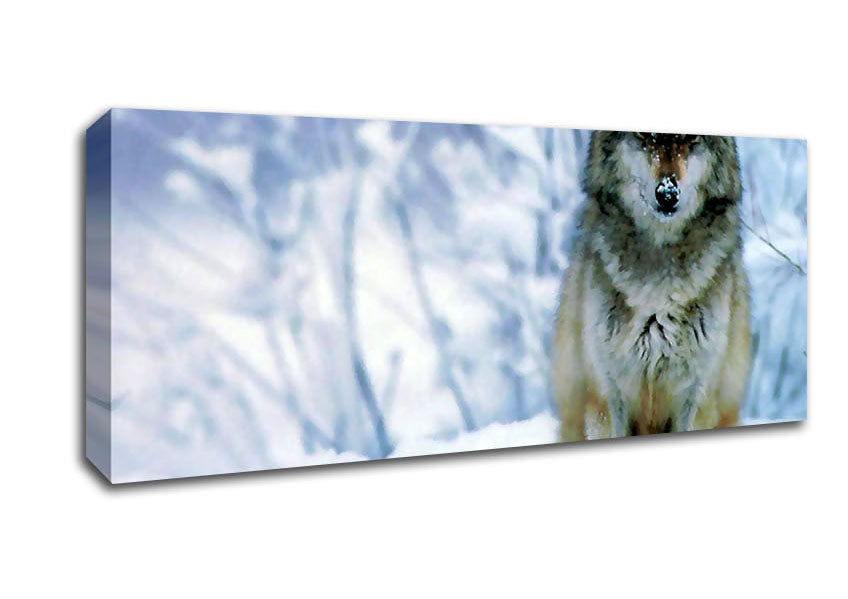 Picture of Snow Wolf Panoramic Canvas Wall Art