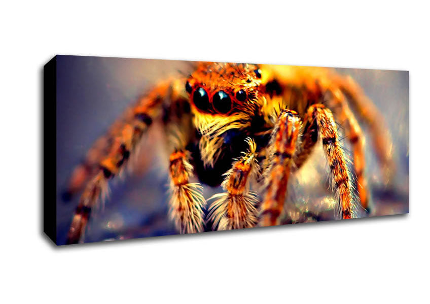 Picture of Spider Close-Up Panoramic Canvas Wall Art