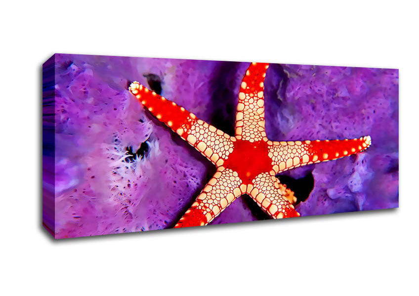 Picture of Starfish On Purple Panoramic Canvas Wall Art