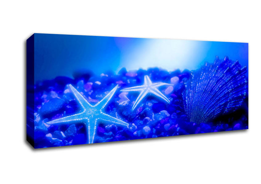 Picture of Stunning Blue Starfish Panoramic Canvas Wall Art