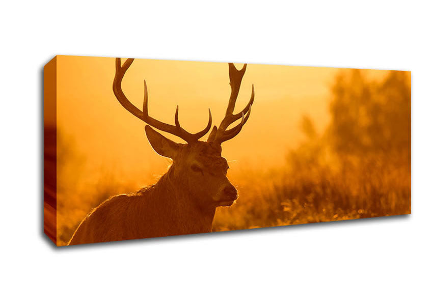 Picture of Sunset Stag Panoramic Canvas Wall Art