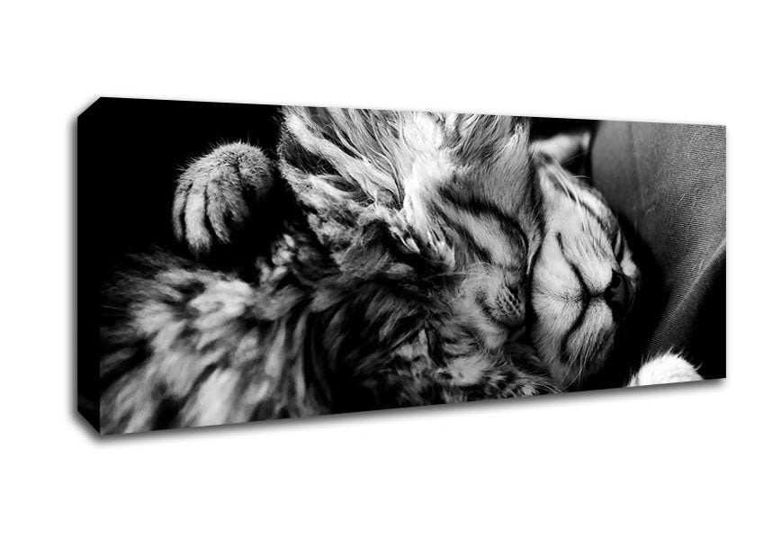 Picture of Sweet Dreams Panoramic Canvas Wall Art