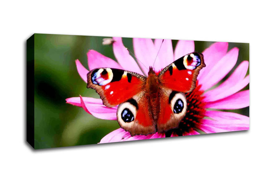 Picture of Symmetrical Butterfly Panoramic Canvas Wall Art