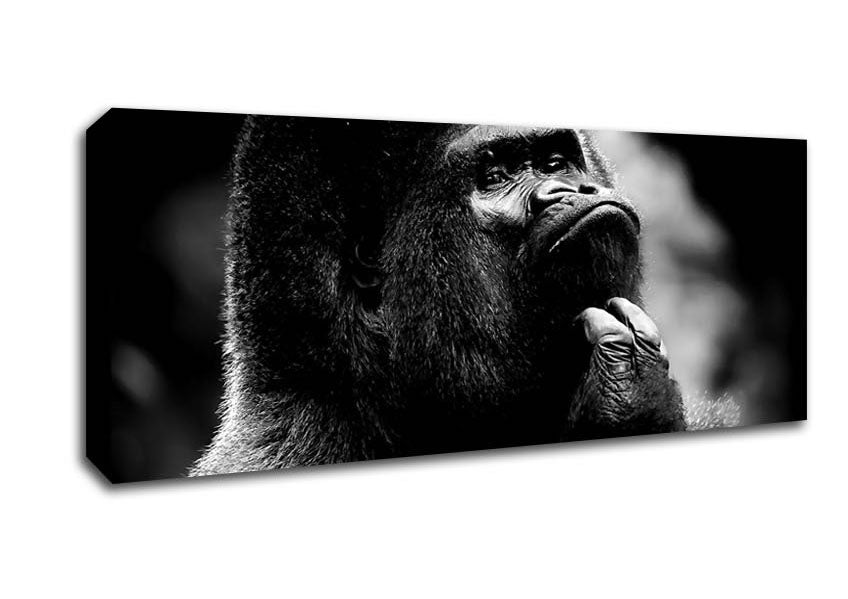 Picture of Thoughtful Gorilla B n W Panoramic Canvas Wall Art