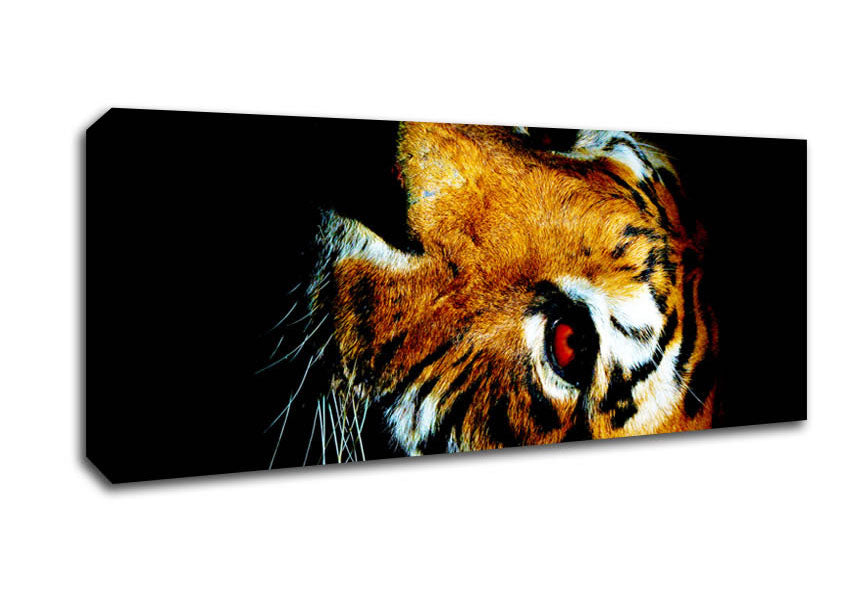 Picture of Tiger Beauty Panoramic Canvas Wall Art