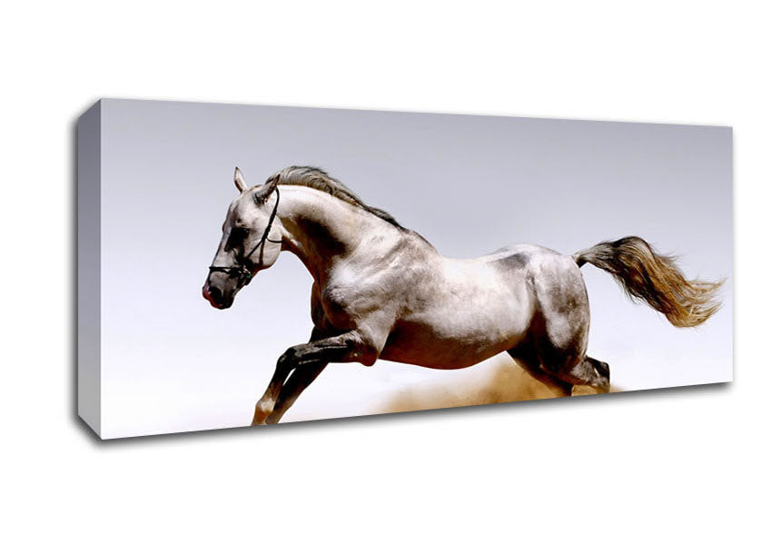 Picture of Wild Horse Running Panoramic Canvas Wall Art