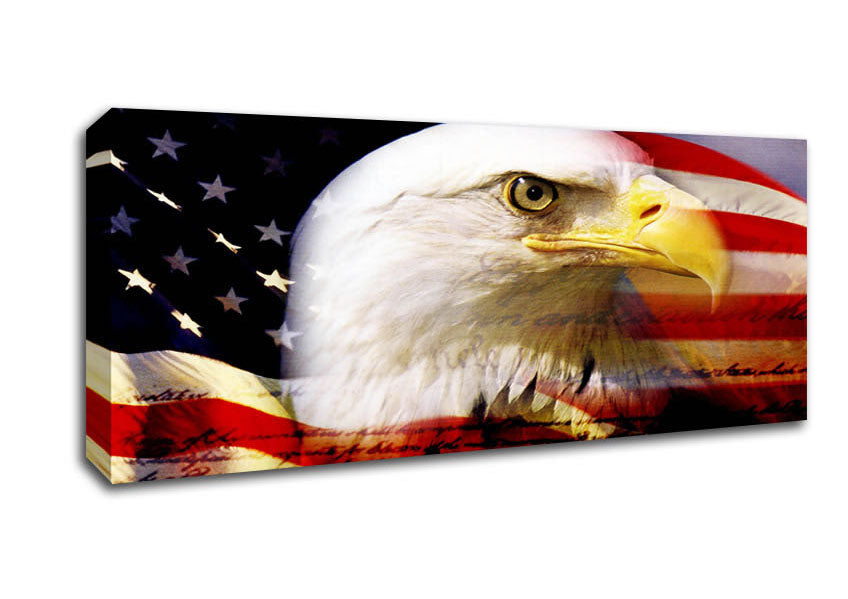 Picture of American Eagle Flag Panoramic Canvas Wall Art