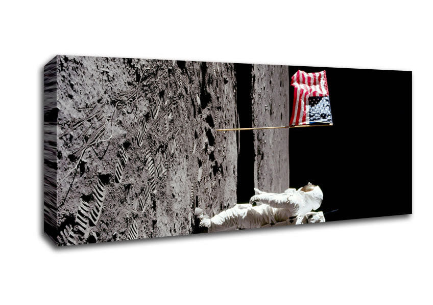 Picture of Buzz Salutes The American Flag Panoramic Canvas Wall Art