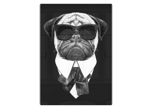 Mafia Pug Dog